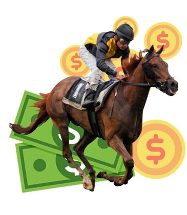 A Helpful Guide to Horse Betting